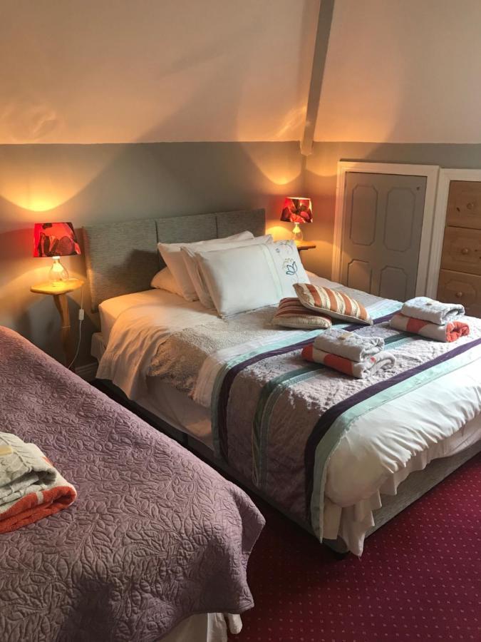 Aurora House Bed And Breakfast Athy Exteriör bild